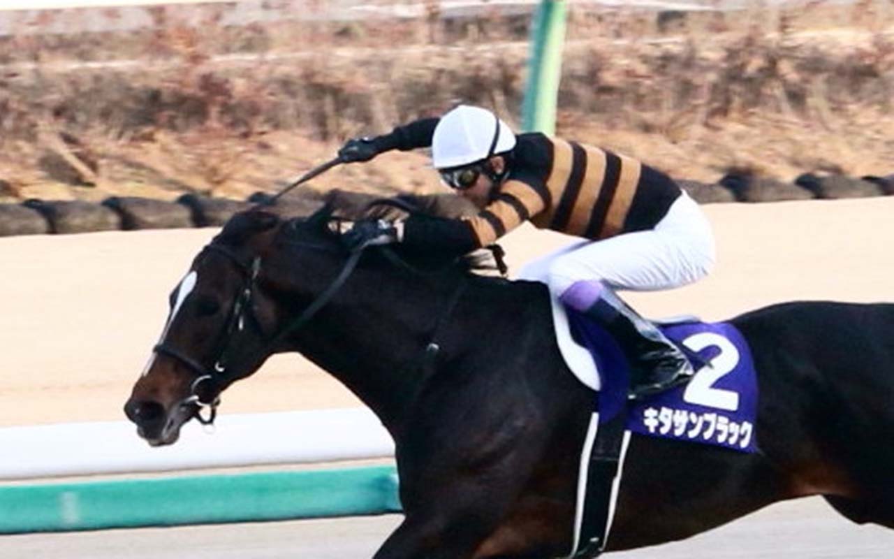 JRA最強種牡馬キタサンブラックの「弟」1億円で募集…ユニオンオーナーズクラブの計略と「半信半疑」