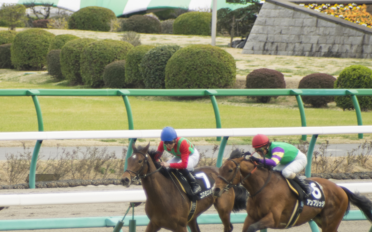ファストフォースにステラリアも引退…団野大成「寝坊遅刻で武豊×引退連発」斉藤崇史激怒でG1でもう見られない？