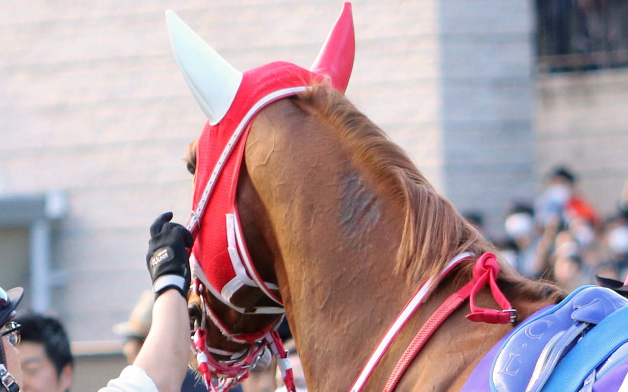 JRA中堅騎手「日本ダービー手からスルリ」テン乗り鬱憤を鳴尾記念で晴らす理由